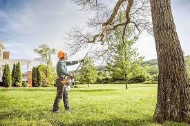 Best Tree Preservation Services  in Glasgow, MO